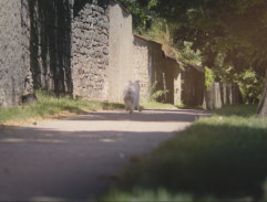 Útěk Konvalinky II