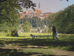 Gump - pes, který naučil lidi žít