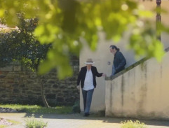 Gump - pes, který naučil lidi žít