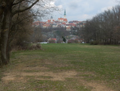 Gump - pes, který naučil lidi žít