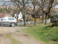 Gump - pes, který naučil lidi žít