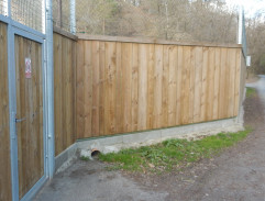 Gump - pes, který naučil lidi žít