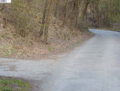 Gump - pes, který naučil lidi žít