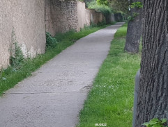 Útěk Konvalinky II