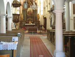 Gump - pes, který naučil lidi žít