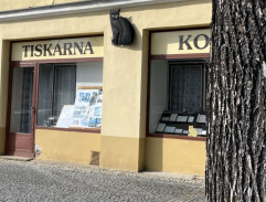 Gump - pes, který naučil lidi žít