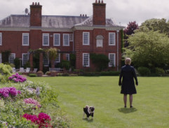 Mopsík k zulíbání