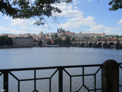 Houslista a Hradčany