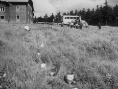 Neukáznění rekreanti