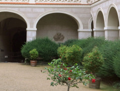 Na zámeckém nádvoří II