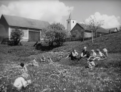 Čihákův rybníček