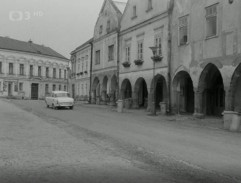 Z lékárníkova deníku