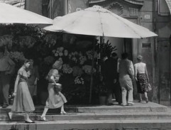 Vchod profesorova domu