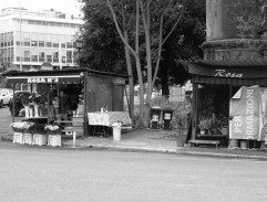 Děvčata ze Španělského náměstí 