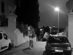 Děvčata ze Španělského náměstí 