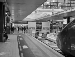 Děvčata ze Španělského náměstí 