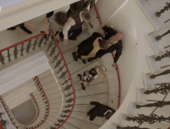 Schodiště v Moravské galerii