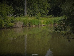 Andrea Lencová u rybníka