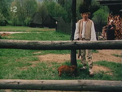 U sedlákovy chalupy