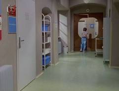 chodba veterinárnej kliniky