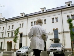 Alžběta jde do práce