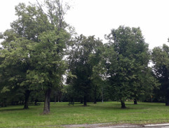 Zápas dvojic před generálem G.S. Pattonem