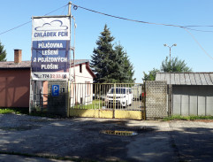 Vítání generála G.S. Pattona