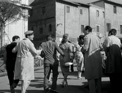 Škoda, žes taková potvora