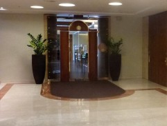 Zítra vstanu a opařím se čajem