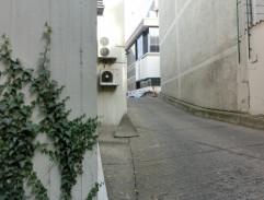 Zítra vstanu a opařím se čajem