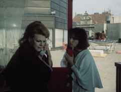 Zítra vstanu a opařím se čajem