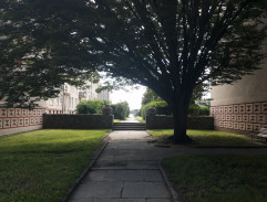 Cestou na sraz s dealerem trávy