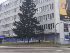 Libor nasedá do auta