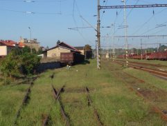 Ještě žiju s věšákem, plácačkou a čepicí