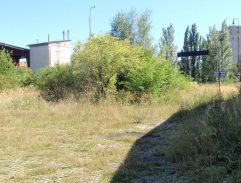 Ještě žiju s věšákem, plácačkou a čepicí