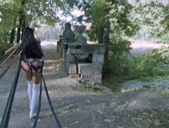 Most v zámeckém parku