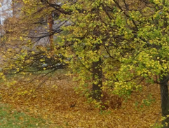 Štúr, Hurban a Hodža