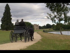 Projížďka kočárem I