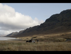 Lov jelena ve Skotsku