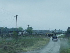 Himmlerova drůbežárna