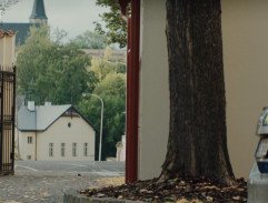 Dvůr vysoké školy