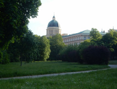 Srážka běžců v parku