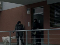 Milan u Irenina domu