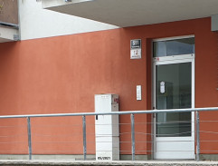 Milan u Irenina domu