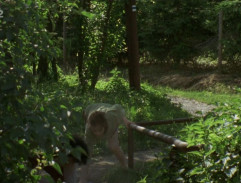 Svatební cesta do Jiljí