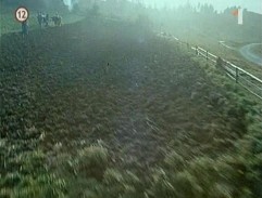 Pichandovské pole I.