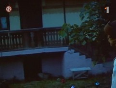 dvor Martina Pichandu