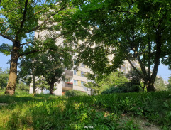 Martin sleduje Petra