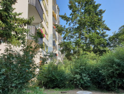 Děti opracovávají samorosty