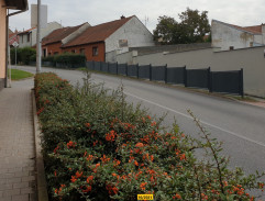 Jarka Hanáková v autě